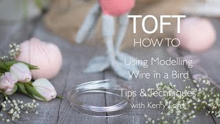 How to Add Modelling Wire to a Bird screenshot 1