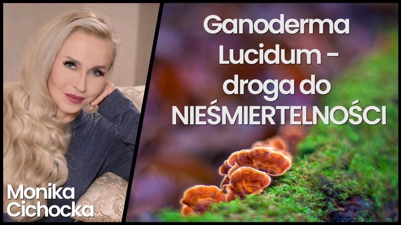 151. Ganoderma Lucidum - droga do NIEŚMIERTELNOŚCI | Reishi, Medycyna Chińska | Monika Cichocka
