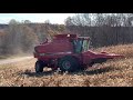 Case IH 2166 axial flow 8.3 Cummins Wisconsin corn harvest 2020