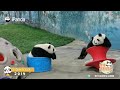 【Panda's Growing-up Diary】Episode 3 Qi Qiao & Qi Xi - Life Is All About Having Fun! | iPanda
