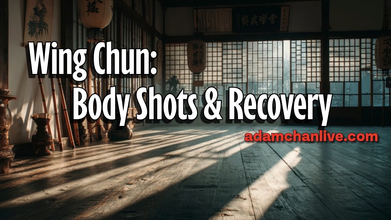 Wing Chun: Body Shots & Recovery - Adam Chan