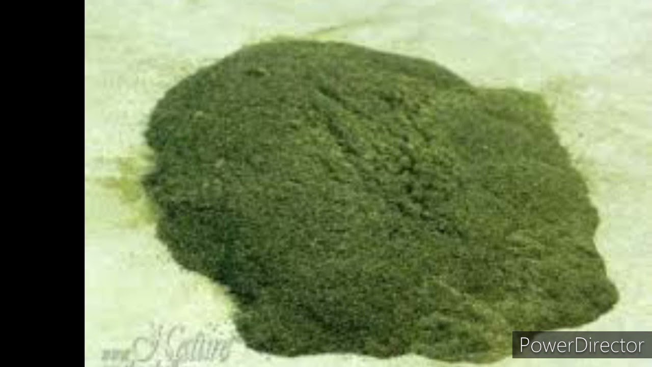 Igisura igitangaza mu Miti. Ni inyenyeri y'ibimera. gishobora kuvura indwara zikomeye ku Isi.