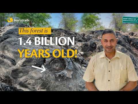 The OLDEST FOSSILS In India! | Salkhan Fossils Park, Uttar Pradesh