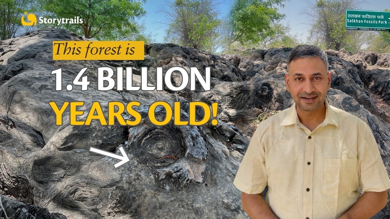 The OLDEST FOSSILS In India! | Salkhan Fossils Park, Uttar Pradesh