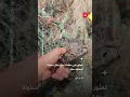 صياد يعثر على مخلفات حرب في نهر الفرات بدير الزور