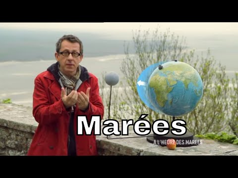 Vidéo: Pourquoi les marées sont-elles causées ?