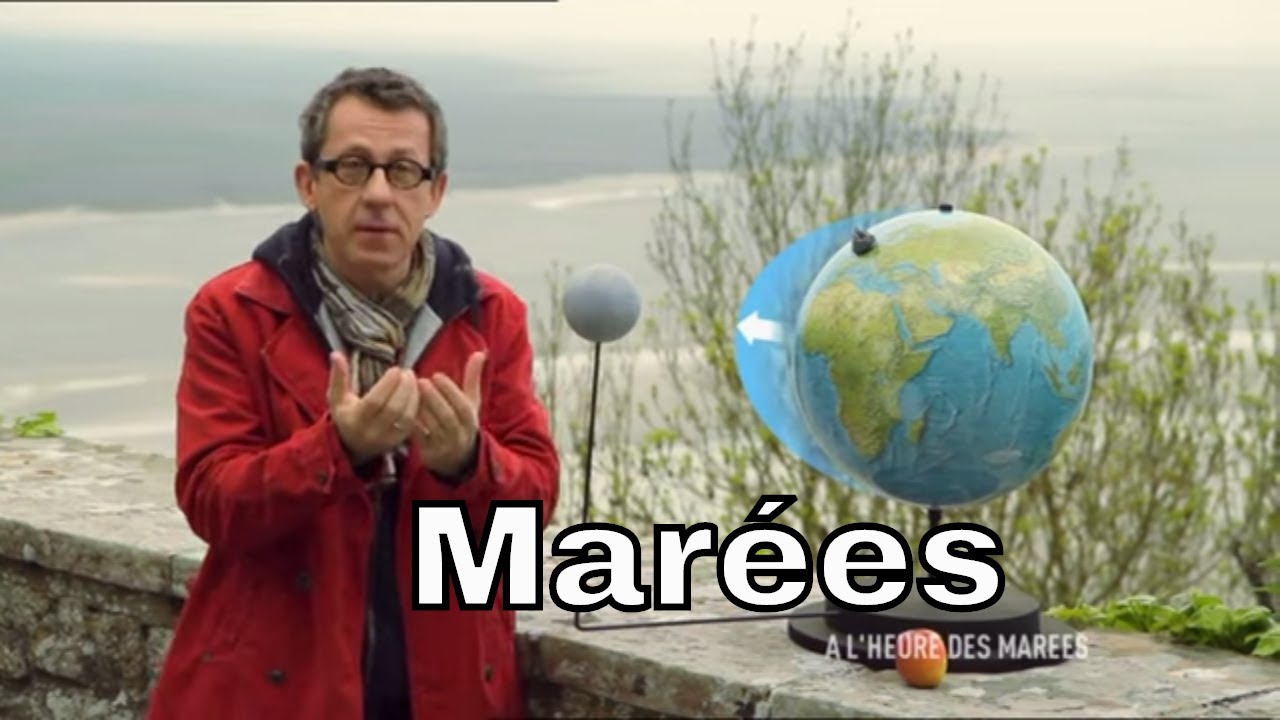 Qu'est-ce qui provoque les marées ? - C'est Pas Sorcier