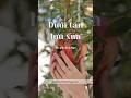 Dưới tán lựu xưa | Thơ