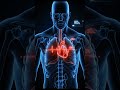 This Is What Chronic Bronchitis Does to Your Lungs