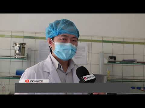 Видео: Хайрцган дахь есөн зулзага, есөн мал эмнэлгийн эмнэлгийн 