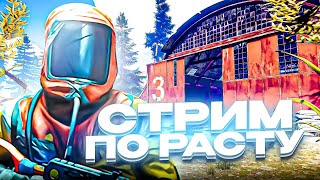 НОВЫЙ ВАЙП в ➤ РАСТ / RUST | YANARI STREAM