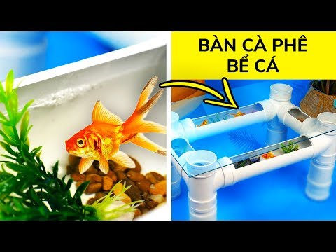 Video: Cách Làm đồ Trang Trí Cho Bể Cá