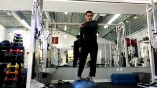 Lvl 3 Strength/Stability...Bosu cable reverse fly