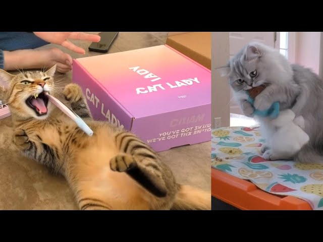 Cat Lady Box Unboxing Cozy Cabin January 2026! 😻 - YouTube