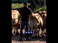 Walworth County raw milk farmer says state is unfairly fining his business