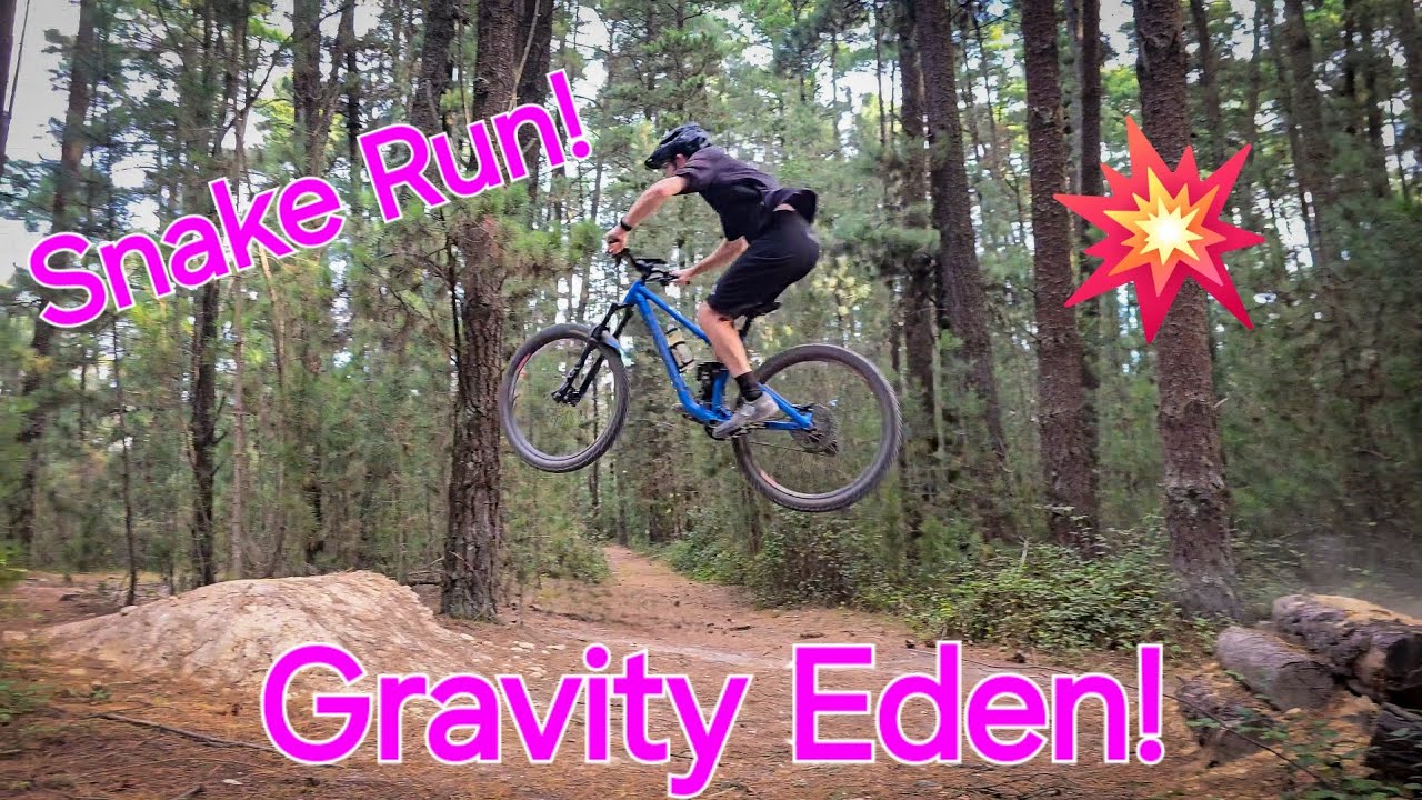 Gravity Eden, Snake Run!
