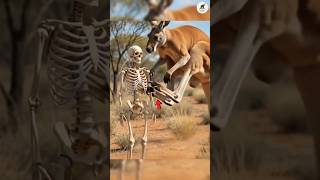 One Kick from This Animal Can Break Bones! 😱