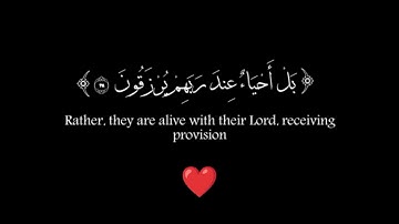ولا تحسبن الذين قتلوا في سبيل الله أمواتا✨سورة آل عمران✨طارق محمد✨كروما قرآن خلفيةسوداءblack ground