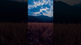Clouds dance in the sky, painting stories with each fleeting moment. #shorts #clouds #timelapse