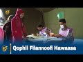 Qophii Filannoofi Hawaasa
