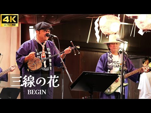 4K【LIVE】「三線の花」- BEGIN ／ 渋谷 金王八幡宮例大祭 奉納ライブ 2024 島人の宝