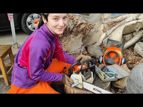 Полный обзор бензопилы STIHL Ms 230- Full Review Of Chainsaw STIHL Ms 230-