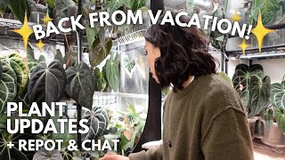I left my plants for 3 weeks! Checking on plants, repot & chat