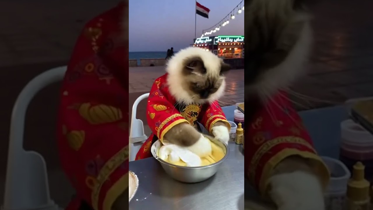 Street Food: A Ragdoll Cat selling Pandan Chiffon Cake (Southeast Asian Cake) at Alexandria Cornic