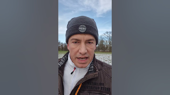 Alice Weidel und Elon Musk