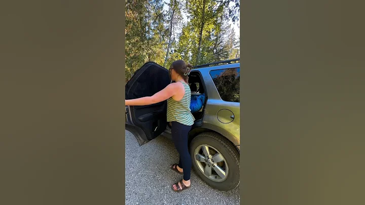 The best car camping gear #roadtrips #carcamping #campinggear