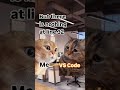 VS Code ❌ Error on line 32 ✅ || VS Code Meme || #vscode #codingmeme  #cat #codewithez