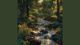 Serene Stream Productivity Melodies