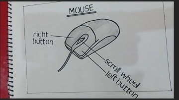 How to draw computer mouse step by step very easy/Mouse drawing easily