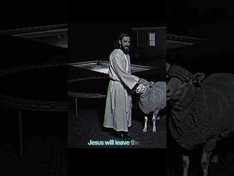 When Jesus Leaves the 99 to find you #faith #jesus #lostsheep #trampoline