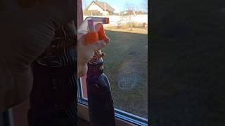 СТЕКЛА БУДУТ БЛЕСТЕТЬ НА ЗАВИСТЬ СОСЕДЯМ #совет для мытья окон
