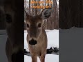Who are YOU looking at?