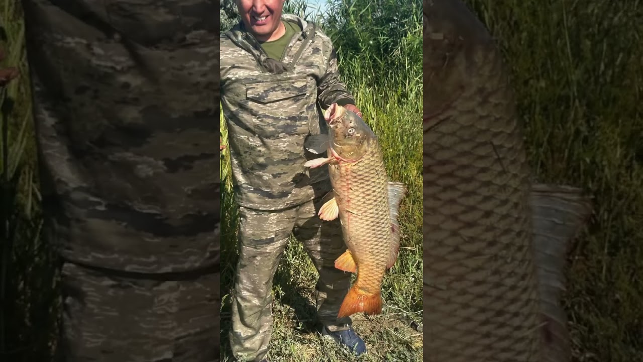 27 июля 2025 г.