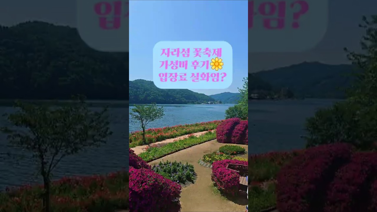 2025 가평 자라섬 꽃축제 후기🌸 인생샷 포토존 #쇼츠  #국내여행 #자라섬 #가평  #축제