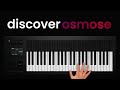Osmose nextgen standalone expressive synthesizer by expressive e