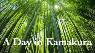 One day in Kamakura [Bamboo Temple, Great Buddha & More!]