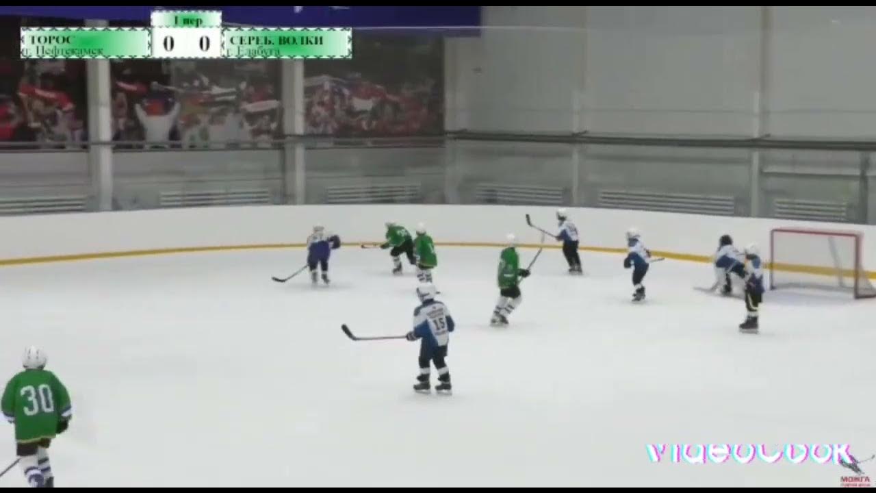 Детская хоккейная команда в Можге