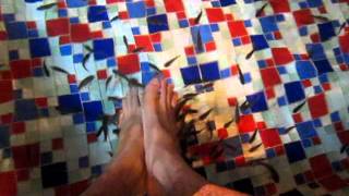 Doctor Fish Spa In Macau