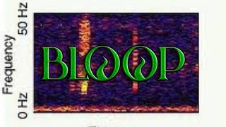 Bloop Creepypasta By: Anonymous
Hope you all enjoy the upload I have you for all today, I upload videos pretty much every single day, so sit back and relax as you enjoy the video I have.
DISCLAIMER! All music belongs to Myuu, CO.AG Music, and/or soundtrack from video games. This/these images and/or gifs all belongs to the rightful owners, and this story is written by Anonymous. And to add important note: to any story that doesnt have a name of the author of who wrote the story, it will be labeled as Anonymous unless said otherwise. Any art of my fursona being used in the thumbnails and/or videos is owned by Paws The Arabian Mau
I do not own the rights of images, gifs or music used, no copyright infringement intended.
Go sub to @Myuu
And sub to CO.AG Music
Link to credit owner of the music: https://www.youtube.com/@Myuu/featured
And Link to CO.AG Music: https://www.youtube.com/channel/UCcavSftXHgxLBWwLDm_bNvA
Also, if your story is narrated and you dont want your story narrated into a video and would like me to take it down, please contact me on DeviantArt, Twitter, Fanfiction or even comment on my community post or video ask me to take the video with your story that you dont want narrated down and I will gladly do so.
I am still doing creepypasta stories but just no longer in the community but still in the fandom
Link to story: https://creepypasta.fandom.com/wiki/Bloop
Tip me: https://streamlabs.com/sl_id_43f2f3a7-34a7-3940-9591-d5f05dc0ce40/tip
Ko fi: https://ko-fi.com/shadowthelionqueen
All I own is my intro and outro, and all rights are reserved Bloop Creepypasta By: Anonymous