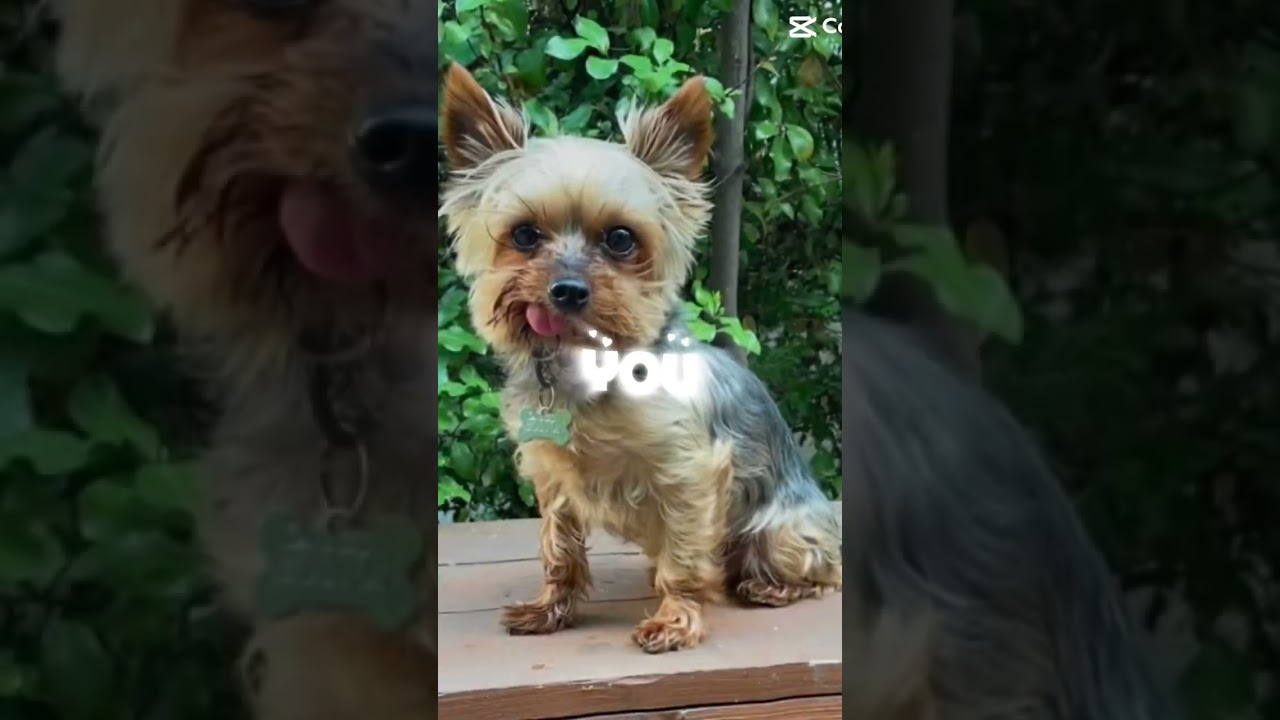 You’ll always be in my heart!! ❤️ 💜 🤍