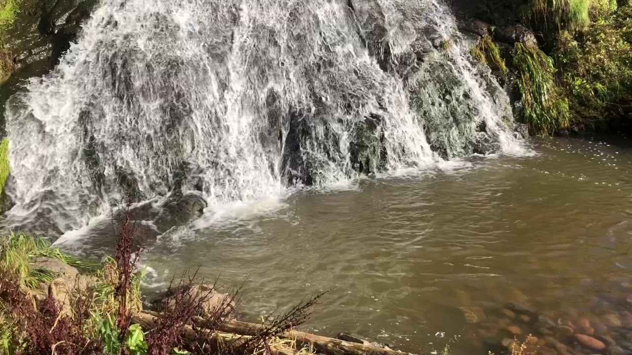St Cyrus Waterfall, Montrose