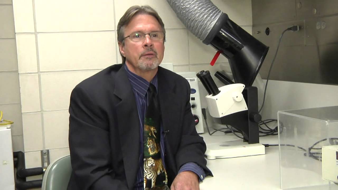 Mayo Clinic Veterinarian Receives ACLAM Diplomate Certification