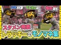 【モノマネ集】#トラッキー がチームと共に宮城・北海道遠征!甲子園ではお馴染み!スタメン発表モノマネを披露して球場を盛り上げてくれました!