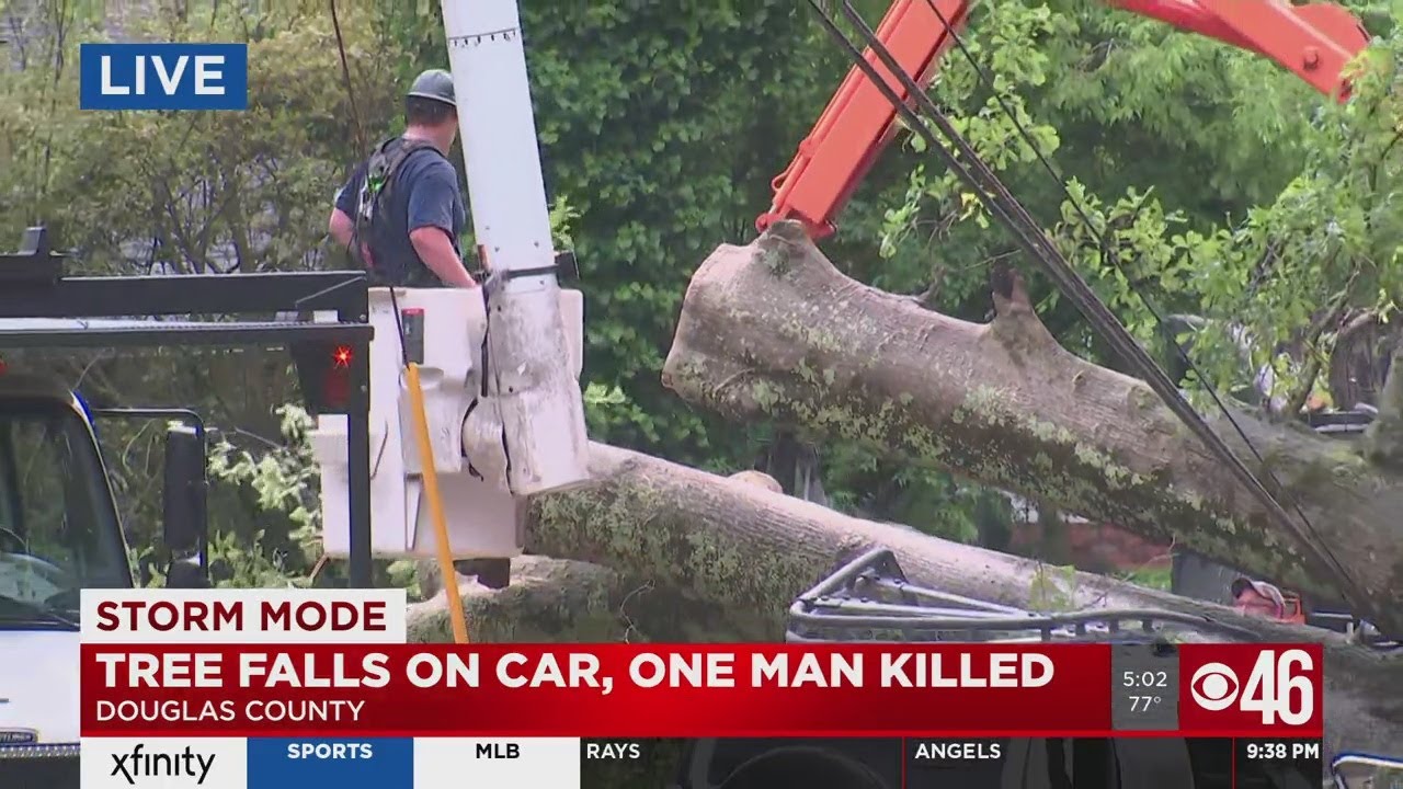 One man killed after tree falls on car - YouTube