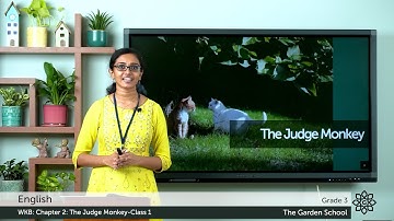 Grade 3 English WKB Chapter 2 Class 1 The Judge Monkey Reading and Explanation