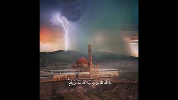 تلاوة من سورة المؤمنون القارى صلاح بو خاطر